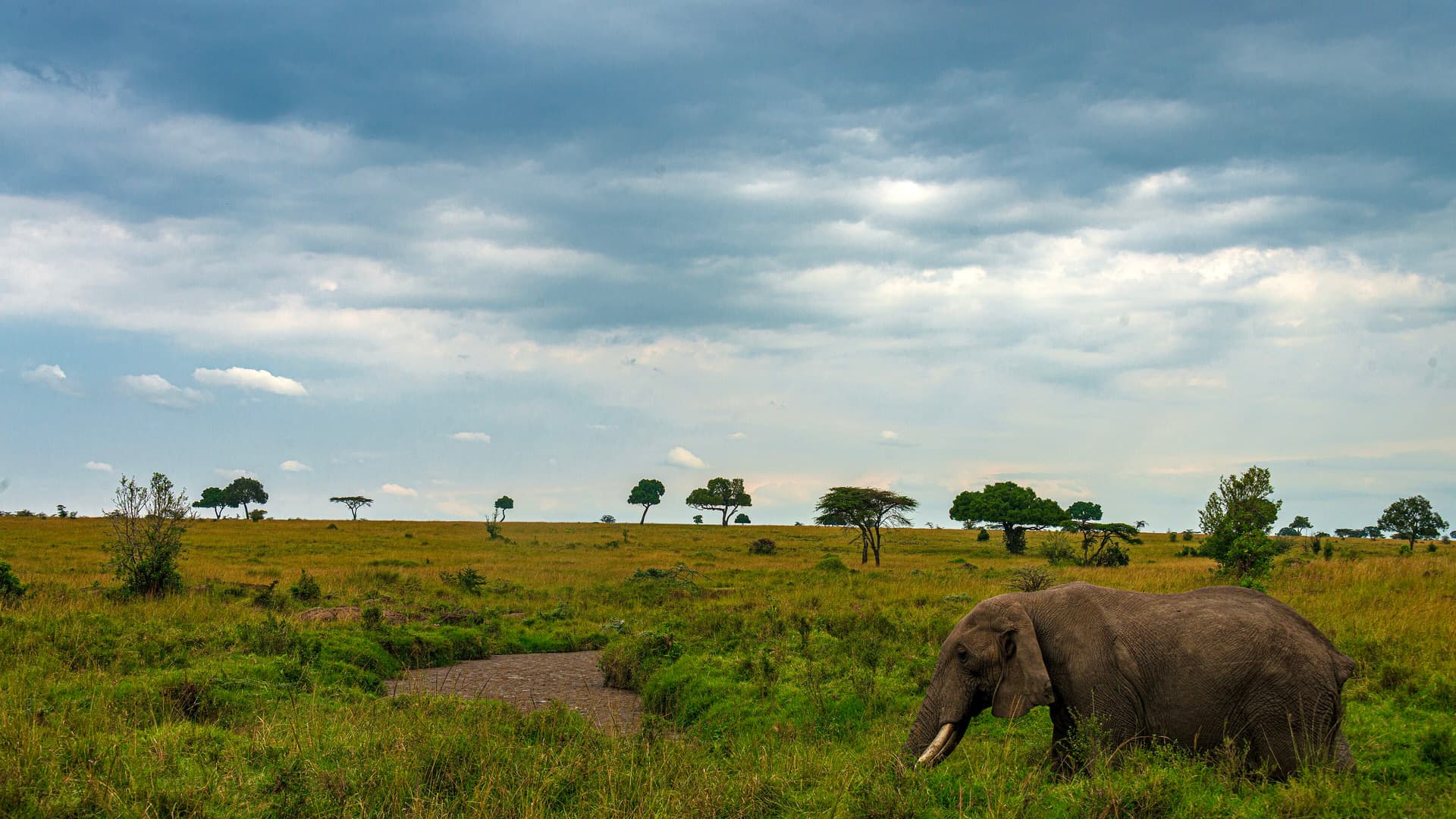 Africa destination travel visual